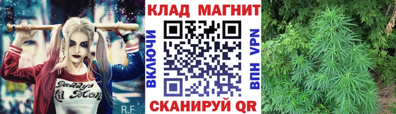Где найти наркотики Новоалтайск Конопля A PVP Галлюциногенные грибы Меф гидра ГАШ