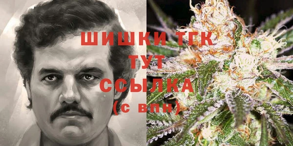 ПСИЛОЦИБИНОВЫЕ ГРИБЫ Балахна