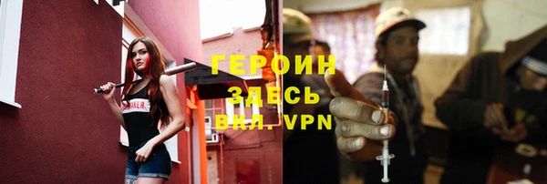 сатива Беломорск