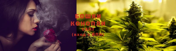 apvp Белокуриха