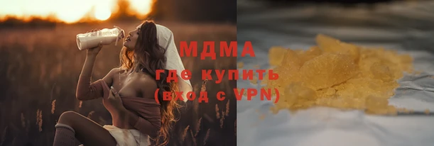 сатива Беломорск