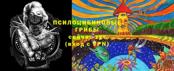 амф Сатка