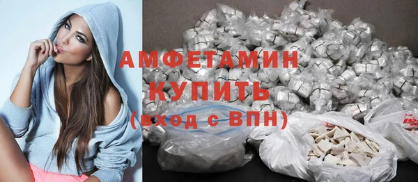 сатива Беломорск