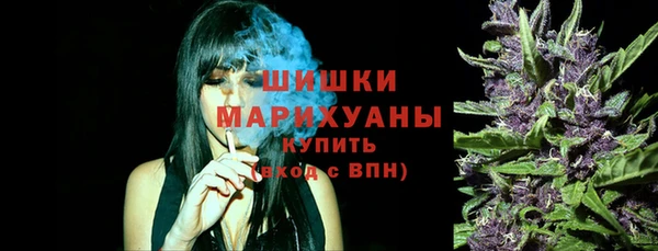 ПСИЛОЦИБИНОВЫЕ ГРИБЫ Балахна